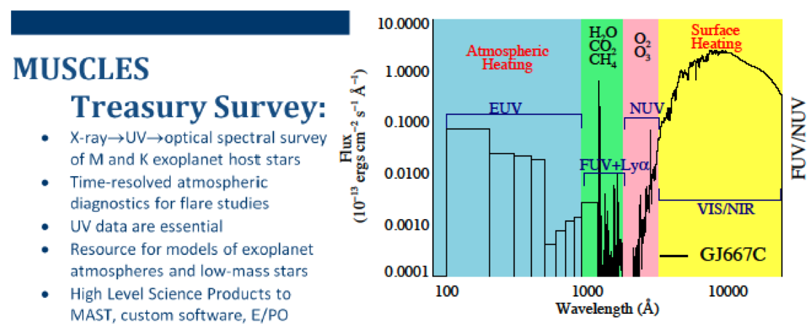 MUSCLES probe of UV radiation environments around cool stars.