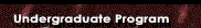 Undergraduate Program