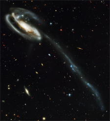 tadpole galaxy