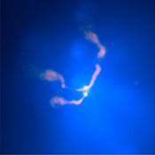 black hole binary