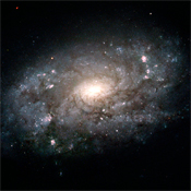 ngc 3949