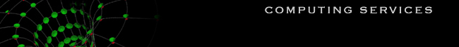 computing services