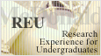 research experience for undergraduates