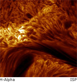 h-alpha sun