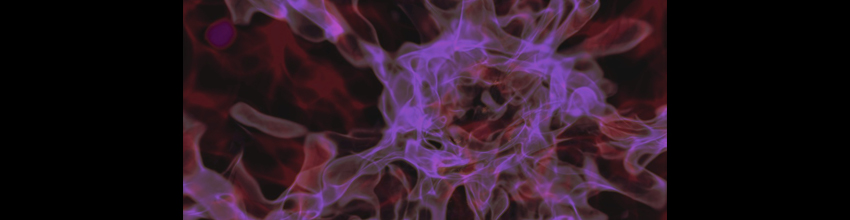 dark matter filaments simulation
