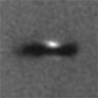 protoplanetary disk