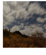 davis mts