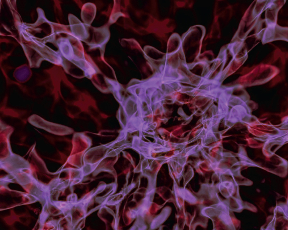 Direct collapse black hole - Science Magazine DCBH Science (1011x810)
