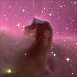horse head nebula