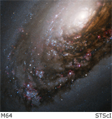 m64