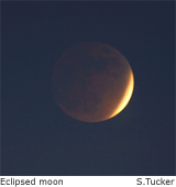 eclipsed moon
