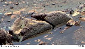 surface of mars