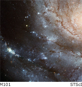 pinwheel galaxy