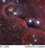 dark globule in IC 1396