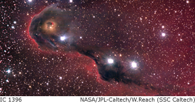 dark globule in IC 1396