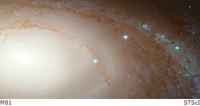 m81