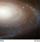 m81