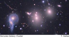 hercules galaxy cluster