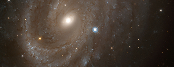 ngc 4603