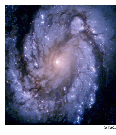 M100